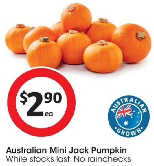 Australian Mini Jack Pumpkin offer at Coles
