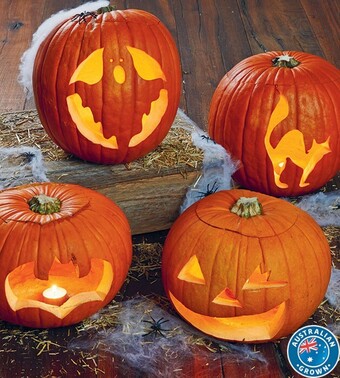 Coles Australian jack o lantern pumpkin offer