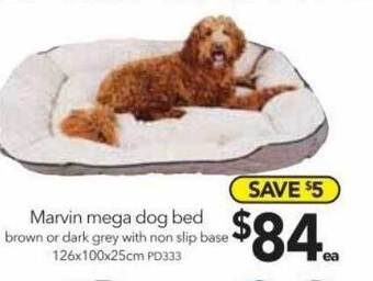 Cheap as Chips Marvin mega dog bed offer