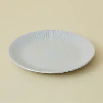 BIG W Openook lustre dinner plate offer