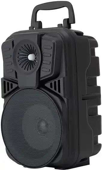 Karaoke speaker with microphone