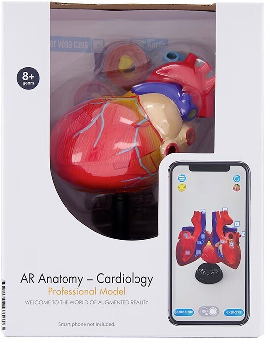 Ar anatomy professional model cardiology offer at Kmart