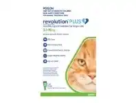 Revolution Plus Large Cats 3 Pack