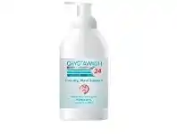 Terry White Crystawash 24 Foaming Hand Sanitiser 500ml offer
