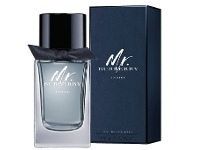 Direct Chemist Outlet Burberry Mr. Burberry Indigo EDT 100ml offer