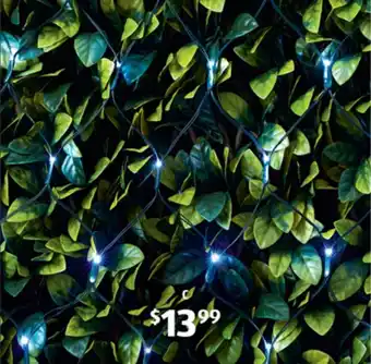 ALDI 150 LED Solar Net or Curtain Lights offer