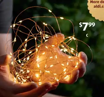 ALDI 100 Led Wire Pin Lights offer