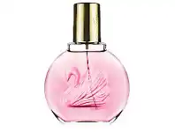 Star Discount Chemist Vanderbilt Jardin New York 100ml EDP offer