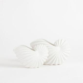 Pillow Talk Nautilus matte white shell bowl by habitat offer