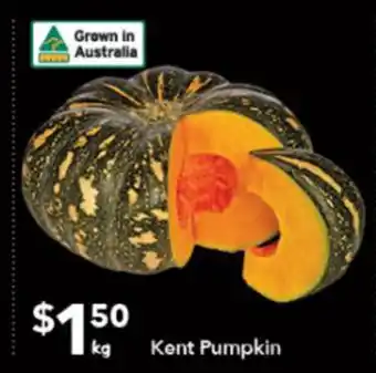 Kent Pumpkin per kg