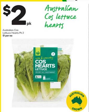 Australian cos lettuce hearts
