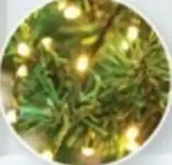 Low Voltage Fairy Light 100 LED