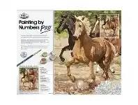 Officeworks Royal & Langnickel Painting By Numbers Galloping Horse offer