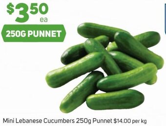 Foodland Mini Lebanese Cucumbers 250g Punnet offer