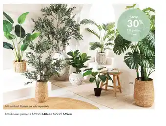 Pillow Talk Otis basket planter offer