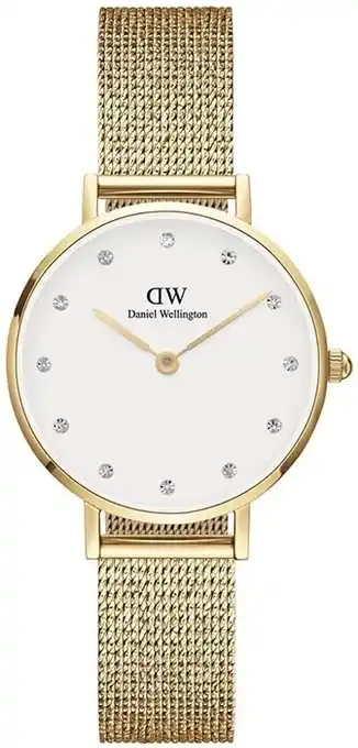 Daniel wellington petite lumine watch