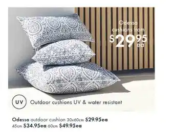 Pillow Talk Odessa outdoor cushion offer