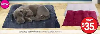Cheap as Chips Corduroy Pet Cushion offer