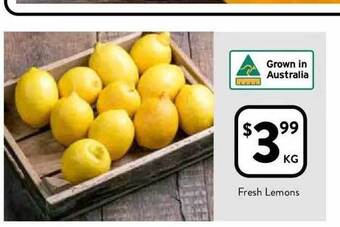 Fresh lemons