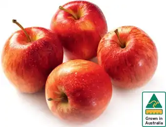IGA Australian royal gala apples 1kg pack offer