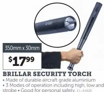 Brillar Security Torch 350mm x 30mm