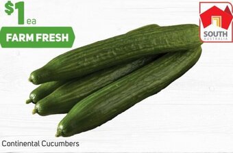 Foodland Continental Cucumbers offer