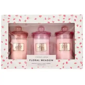 3 pack floral meadow fragrant candles