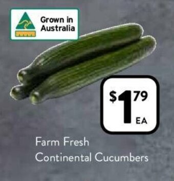 Foodworks Farm Fresh Continental Cucumbers offer