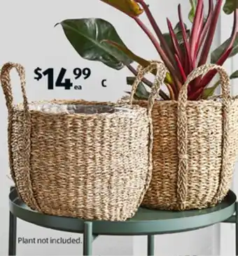 ALDI Seagrass Planter offer