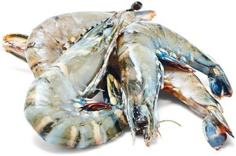 Woolworths Thawed Large Australian Raw Tiger Prawns offer