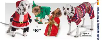 Pet Christmas Pyjamas And Costumes