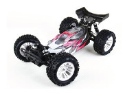 Buggster 1/10 Scale 4WD Brushed with Battery & Charger