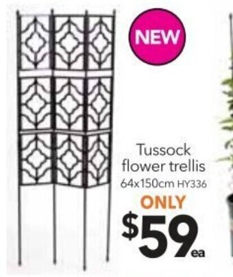Tussock Flower Trellis