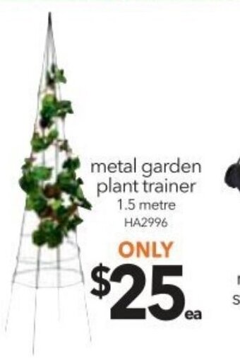 Cheap as Chips Metal Garden Plant Trainer offer