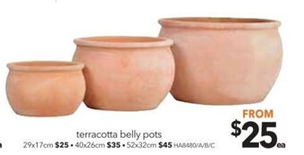 Terracotta Belly Pots - 29x17cm