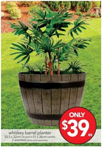 Cheap as Chips Whiskey Barrel Planter offer