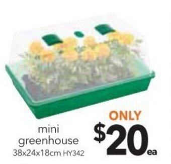 Cheap as Chips Mini Greenhouse offer