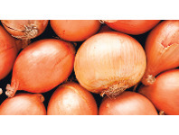 Pre-Packed Brown Onions 1kg