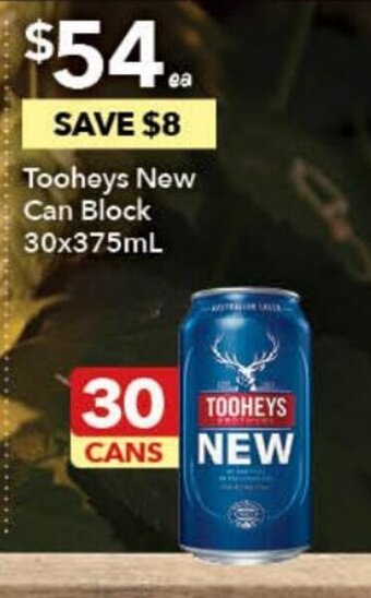 Ritchies Tooheys New Can Block 30x375ml offer