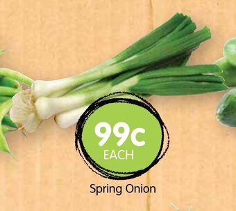 Spudshed Spring Onion offer