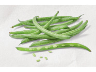 ALDI Australian Beans 500g Pack offer