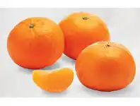 ALDI Australian Afourer Mandarins 600g Pack offer
