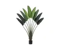 LivingStyles Potted Artificial Travellers Palm, 160cm offer