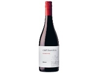 Liquorland Earthworks Shiraz 750ml offer