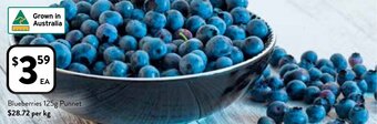 Foodworks Blueberries 125g Punnet offer