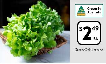 Foodworks Green Oak Lettuce offer