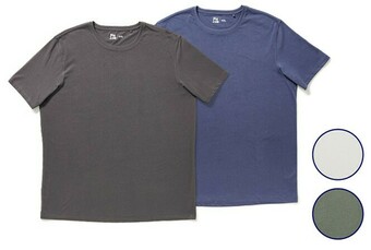 BIG W Big Joe Mens Basic Tees offer