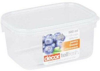 BIG W Decor Tellfresh Oblong Container 500mL offer