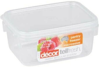 BIG W Decor Tellfresh Oblong Container 250mL offer