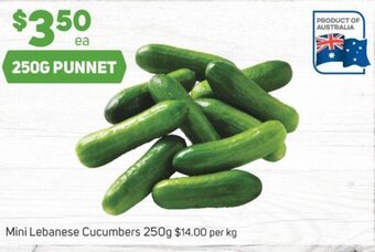 Foodland Mini Lebanese Cucumbers 250g offer